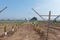 Vineyard Flat Gable Trellis System